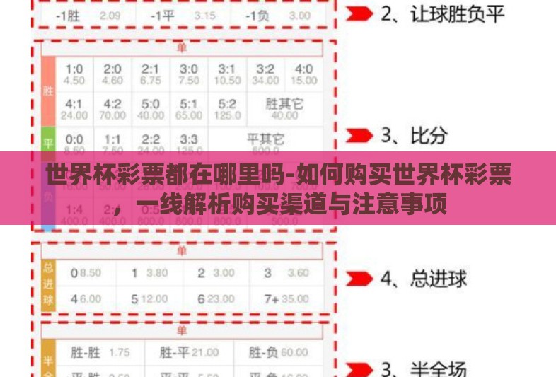 世界杯彩票都在哪里吗-如何购买世界杯彩票，一线解析购买渠道与注意事项