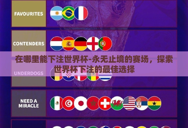 在哪里能下注世界杯-永无止境的赛场，探索世界杯下注的最佳选择