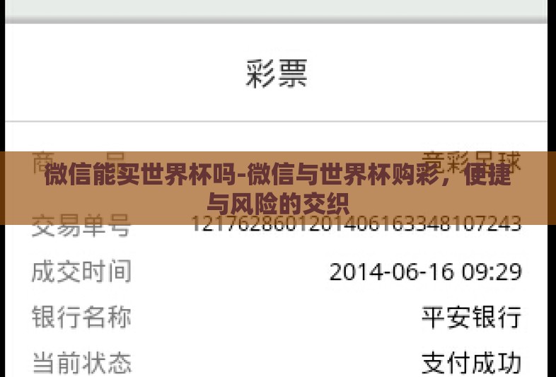 微信能买世界杯吗-微信与世界杯购彩，便捷与风险的交织